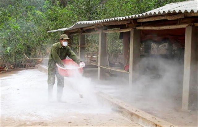 TP Uông Bí siết chặt công tác phòng chống dịch tả lợn Châu Phi