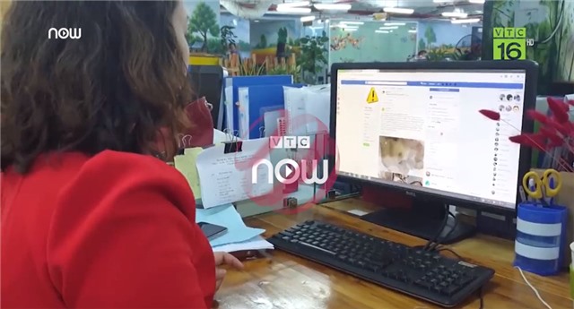 Tẩy chay thịt lợn vì dịch tả châu Phi là vô lý