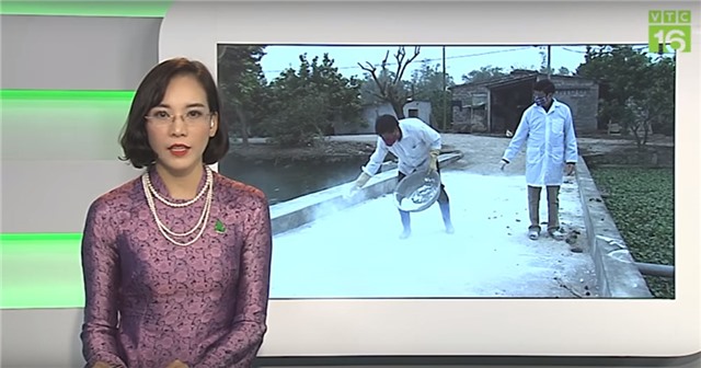 Phòng chống bệnh dịch tả lợn Châu Phi 