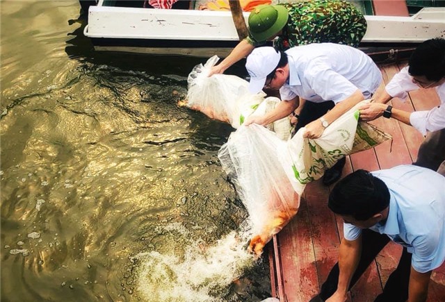 TP Uông Bí thả 2.000 con giống tái tạo nguồn lợi thủy sản 