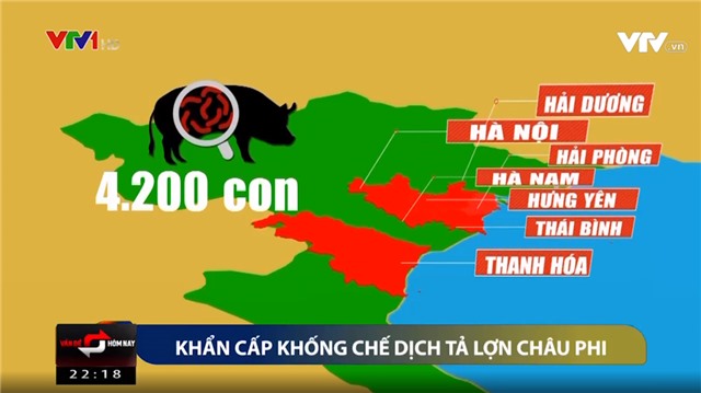 Dập dịch tả lợn châu Phi: Quyết liệt nhưng không “thổi phồng” gây hoang mang!