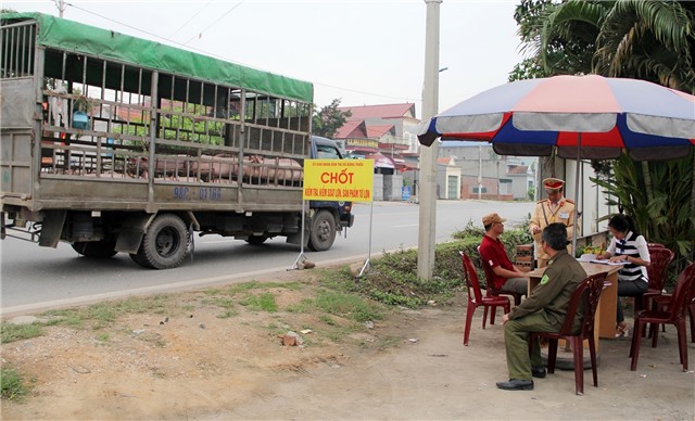 Căng mình chống dịch