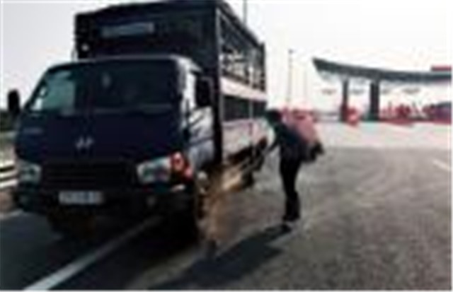 Quyết liệt, mạnh mẽ trong phòng chống, ngăn chặn dịch bệnh ở lợn