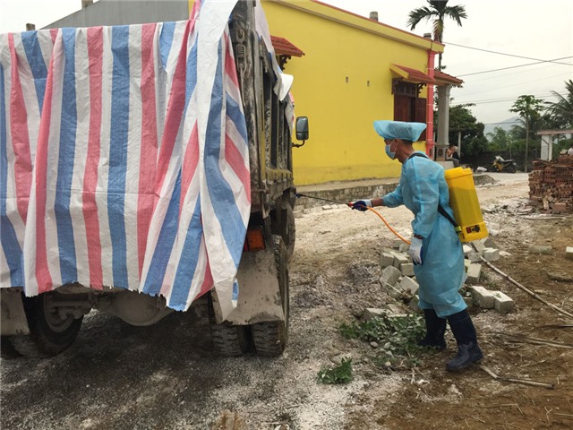 Tiêu hủy đàn lợn 131 con bị bệnh dịch tả châu Phi tại phường Phương Nam