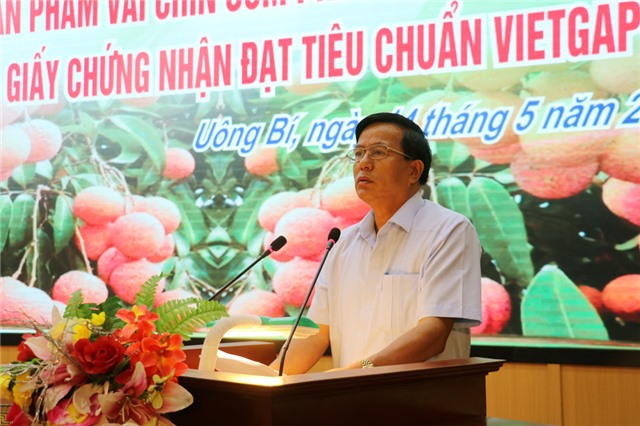 Xúc tiến tiêu thụ, trao chứng nhận VietGAP cho quả vải chín sớm Phương Nam 
