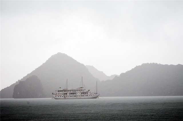 Quảng Ninh có mưa dông diện rộng