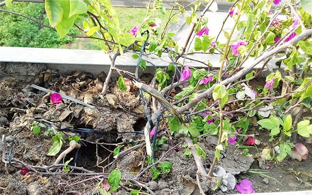 Xóa bỏ ngay những việc làm thiếu văn minh