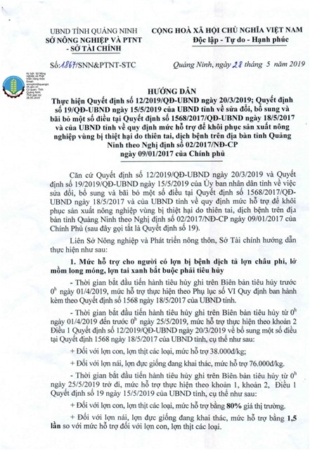 Ban hành hướng dẫn hỗ trợ hộ chăn nuôi ảnh hưởng bởi bệnh dịch tả lợn Châu Phi