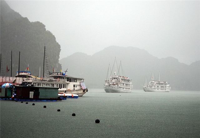 Quảng Ninh có mưa diện rộng, kéo dài