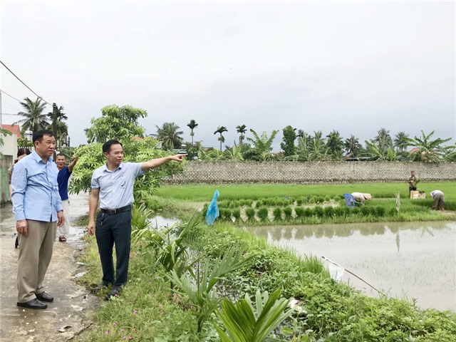 Đoàn giám sát HĐND thành phố làm việc với phường Phương Nam