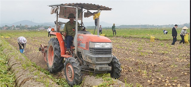 Khuyến khích phát triển sản xuất hàng hóa nông nghiệp tập trung