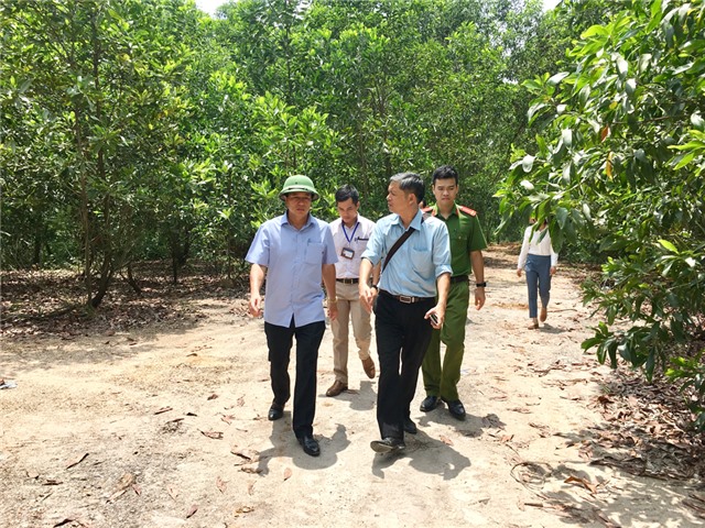 Đoàn liên ngành tỉnh: Kiểm tra công tác phòng chống dịch tả lợn Châu Phi tại Uông Bí