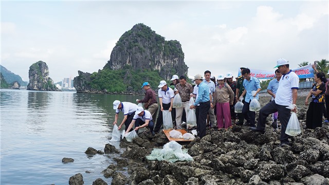 Phát động hưởng ứng Ngày môi trường Thế giới, tuần lễ Biển và Hải đảo Việt Nam năm 2019