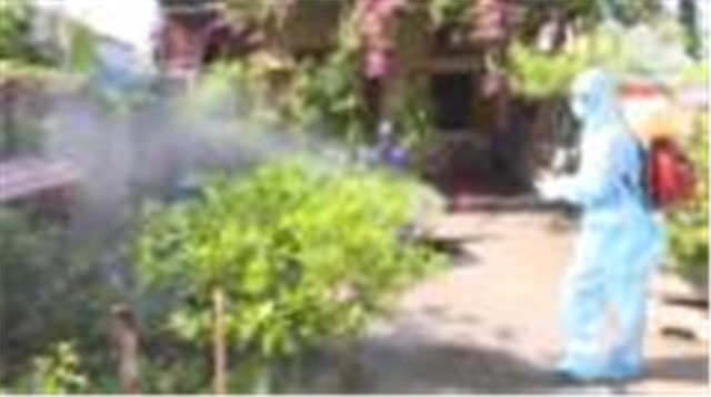 Quảng Ninh: Chủ động phòng chống sốt xuất huyết