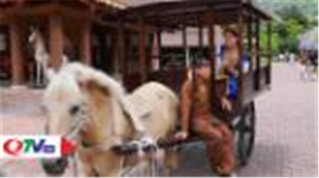 Khám phá xe ngựa Yên Tử, tìm về ký ức xưa 