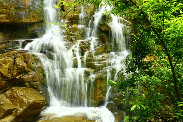 Lựng Xanh vào thu 