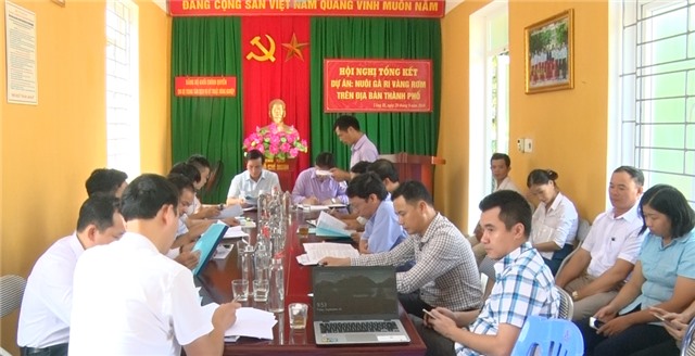 Tổng kết Dự án nuôi gà ri vàng rơm