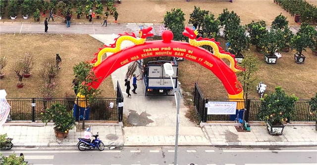 Hôm nay, chợ hoa xuân Tết Canh Tý chính thức khai trương