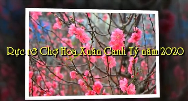 Rực rỡ Chợ Hoa xuân Canh Tý 2020