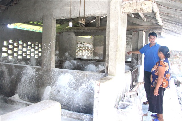 Ngăn chặn dịch tả lợn châu Phi tái phát