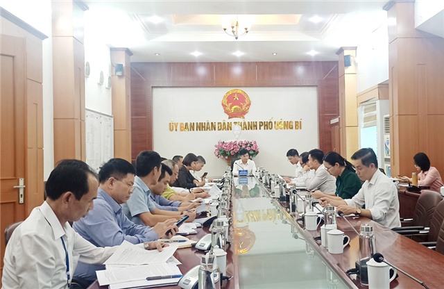 Thành phố nghe báo cáo rà soát các dự án có sử dụng đất, mặt nước 