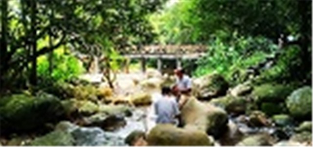 "Chúng ta nên nhìn Yên Tử trong một phạm vi di sản rộng hơn..."