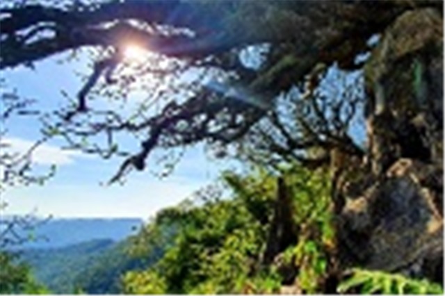 Quyến rũ vàng thu Yên Tử