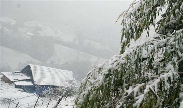 Công điện hỏa tốc chỉ đạo ứng phó rét đậm, rét hại