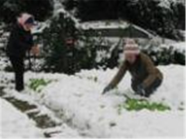 Phòng, chống rét cho người và vật nuôi, cây trồng