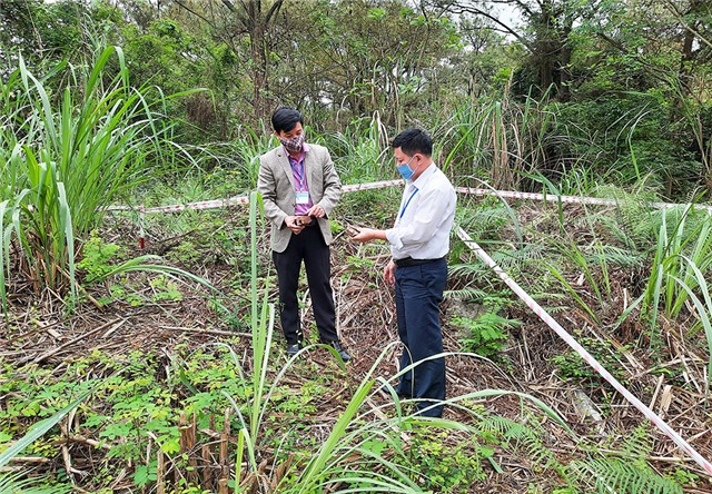 Phát hiện nơi được cho là dấu tích nếp nhà của doanh nhân Bạch Thái Bưởi