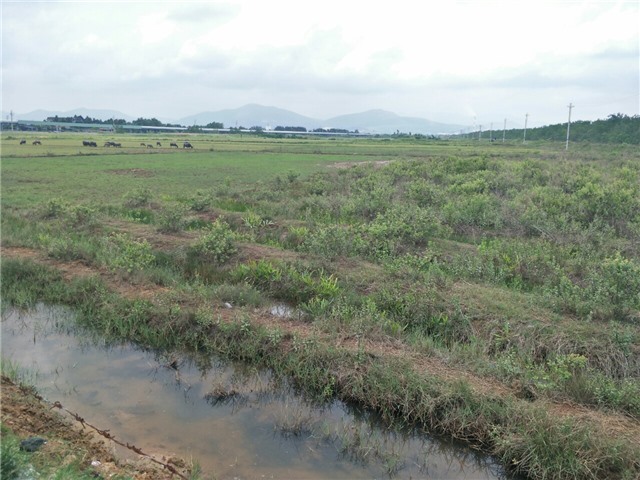 Làm rõ hơn thông tin về Dự án nuôi trồng thủy sản tại khu Đền Công 1, phường Trưng Vương 