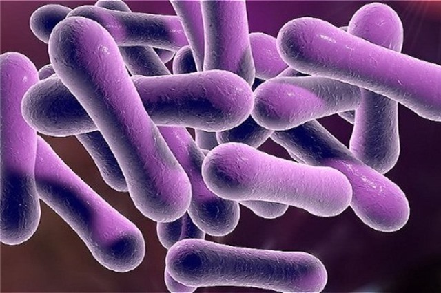 5 biện pháp cần thực hiện để phòng bệnh bạch hầu