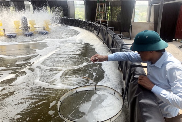 TP Uông Bí: Thêm cú huých phát triển