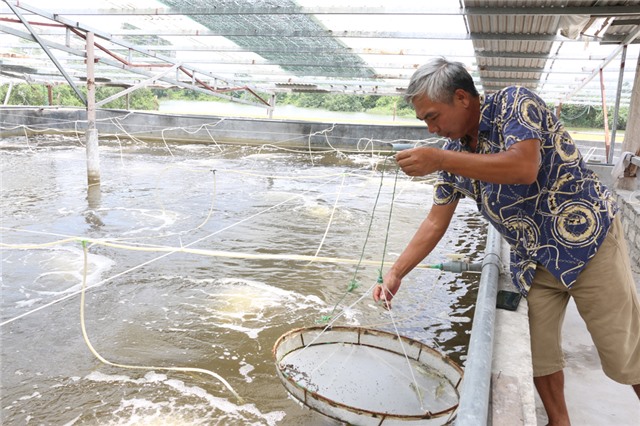 Hậu xóa bỏ lò vôi thủ công ở TP Uông Bí
