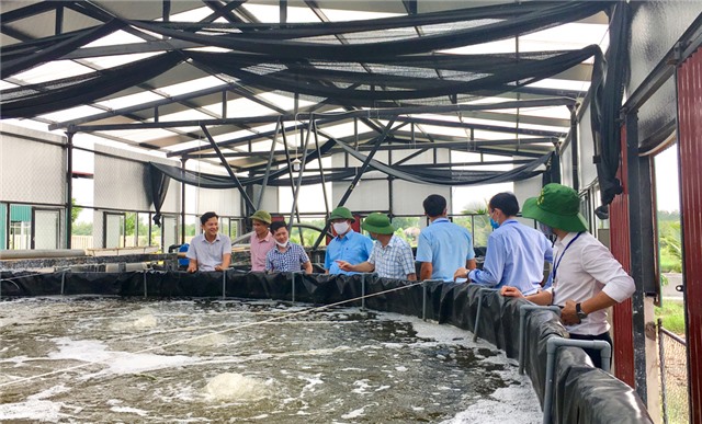 Phó Chủ tịch UBND thành phố Bùi Văn Thành kiểm tra mô hình nuôi trồng thủy sản công nghệ cao
