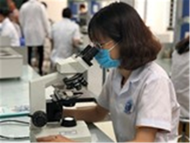 Việt Nam giữ thứ hạng cao về Chỉ số Đổi mới sáng tạo toàn cầu