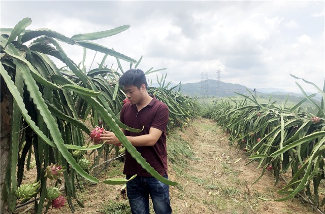 Uông Bí: Đẩy mạnh tái cơ cấu ngành nông nghiệp