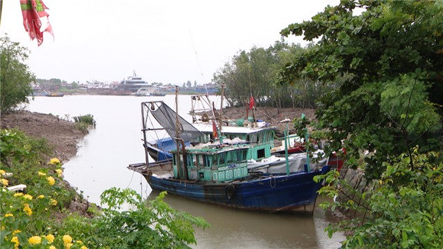 Chủ động các biện pháp phòng, chống bão số 7 và mưa lớn trên địa bàn tỉnh