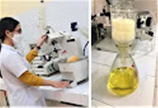 Việt Nam tổng hợp thành công hợp chất để sản xuất thuốc điều trị COVID-19 từ nguyên liệu giá rẻ