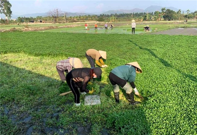 Đồng hành cùng nông dân vượt khó