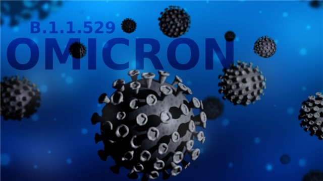 "Biến chủng Omicron xâm nhập Việt Nam chỉ là thời gian, cần sẵn sàng ứng phó"