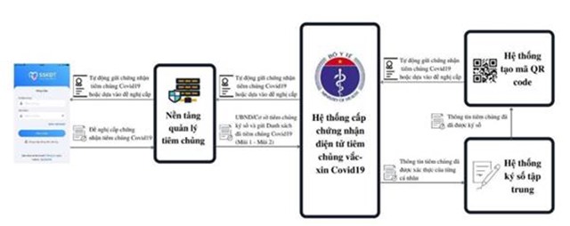 Quy trình 3 bước cấp 'Hộ chiếu vaccine' của Việt Nam