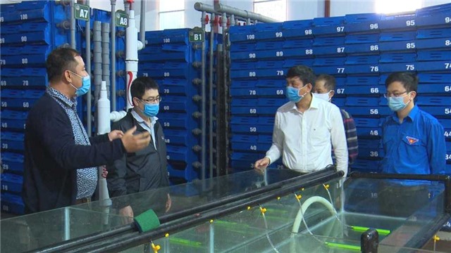 Ứng dụng và chuyển giao tiến bộ KH&CN: Đồng hành cùng sự phát triển của tỉnh