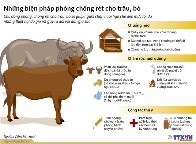 Tăng cường phòng chống dịch bệnh, đói rét cho vật nuôi, bảo vệ sản xuất nông nghiệp