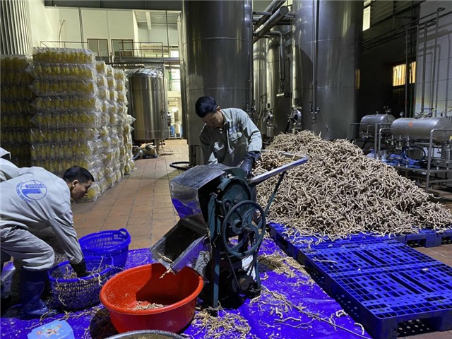 Phát triển kinh tế dưới tán rừng