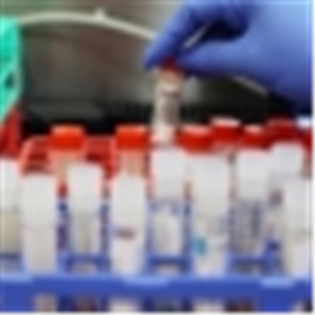 Anh tiếp tục phát hiện thêm biến thể mới của virus SARS-CoV-2