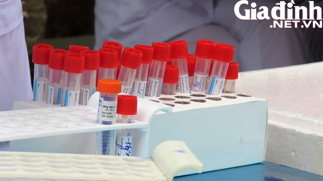 Các F1 của 2 mẹ con ở Hải Phòng được phát hiện dương tính SARS-CoV-2 khi nhập cảnh Australia đã âm tính