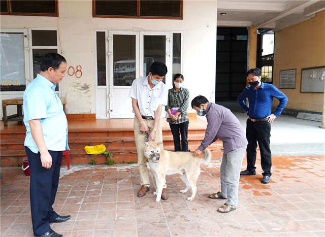 Phó Chủ tịch UBND thành phố Bùi Văn Thành kiểm tra công tác tiêm phòng dại trên đàn chó