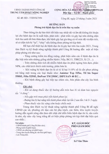 Hướng dẫn phòng trừ bệnh đạo ôn lá trên lúa vụ xuân