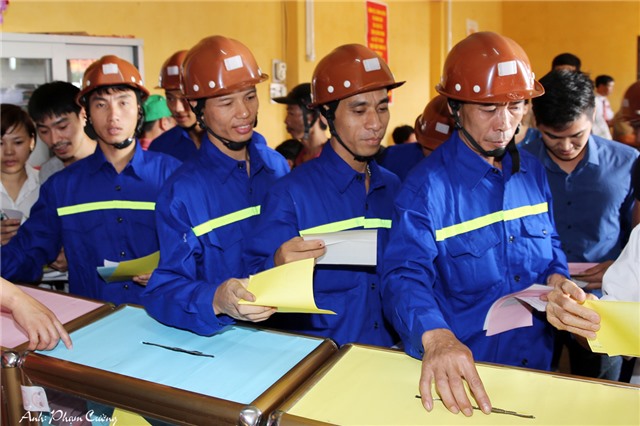 Tổ bầu cử có các nhiệm vụ, quyền hạn nào?